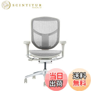 �y���������z�G���S�q���[�}��2(ergohuman2) �I�t�B�X�`�F�A ENJOY �G���W���C �F�F���b�V��:�z���C�g / �t���[��:�O���[�A�T�C�Y�F���[�^�C�v