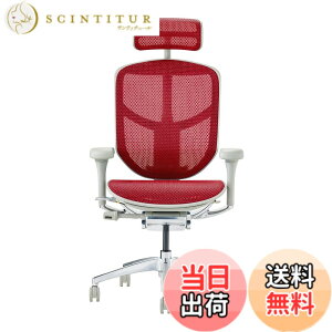 �y���������z�G���S�q���[�}��2(ergohuman2) �I�t�B�X�`�F�A ENJOY �G���W���C �F�F���b�V��:���b�h / �t���[��:�O���[�A�T�C�Y�F�n�C�^�C�v