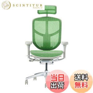 �y���������z�G���S�q���[�}��2(ergohuman2) �I�t�B�X�`�F�A ENJOY �G���W���C �F�F���b�V��:�O���[�� / �t���[��:�O���[�A�T�C�Y�F�n�C�^�C�v