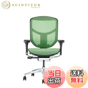 �y���������z�G���S�q���[�}��2(ergohuman2) �I�t�B�X�`�F�A ENJOY �G���W���C �F�F���b�V��:�O���[�� / �t���[��:�u���b�N�A�T�C�Y�F���[�^�C�v