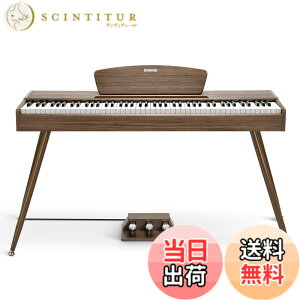 �y���������zDonner �d�q�s�A�m 88���� DDP-80 �F�F�E�H�[���i�b�g�A�T�C�Y�FDDP-80