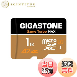 �y���������zGIGASTONE �}�C�N��sd�J�[�h Blackgold 2026 Group 1 �F�F1TB Game Turbo MAX 1-Pack