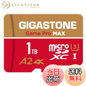 �y���������zGIGASTONE �}�C�N��sd�J�[�h Redgold-64-4-1-Group �F�F1TB Game Pro Max 1���Z�b�g�A�T�C�Y�F1TB Game Pro Max 1���Z�b�g