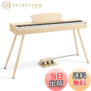 �y���������zDonner �d�q�s�A�m 88���� DDP-80 �F�F�I�[�N�x�[�W���A�T�C�Y�FDDP-80