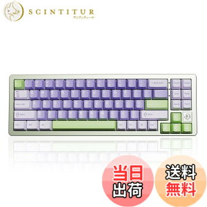 �y���������zYUNZII AL71 68% �Q�[�~���O�L�[�{�[�h �t���A���~CNC �z�b�g�X���b�v�Ή� ���� �K�X�P�b�g ���J�j�J���L�[�{�[�h NKRO 2.4GHz���C�����XBT5.0/USB-C �L�� RGB�o�b�N���C�g Win/Mac�p �����蕨