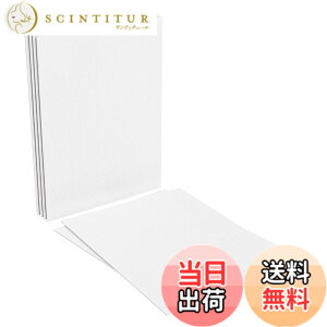 �y���������zHANSILK ����L�����o�X �L�����o�X ��� �G��{�[�h ���� ���ʁE�A�N�������p canvas painting �L�����o�X �~�j �I�C���R��h�~ ���@�� �F�F�z���C�g�A�T�C�Y�FF6-6��