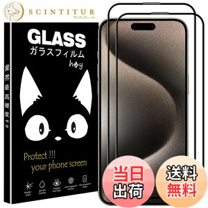 �y���������z4X-HZLZL �T�C�Y�FiPhone15 Pro �p�̃t�B����