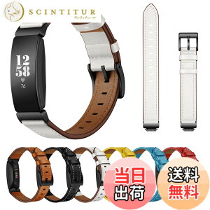 �y���������z[SEUER�_���d] ���U�[���v�o���h��Fitbit Inspire 2 �o���h/Fitbit Inspire �o���h/Fitbit Inspire HR�o���h�ƌ݊���������A�i�p���U�[���X�g�o���h Inspire�����Y����у��f�B�[�XFitbit �����x