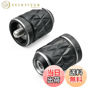 �y���������z�f�C�g�i(Daytona) PREMIUM ZONE(�v���~�A���]�[��) �o�C�N�p �o�[�G���h TECHNO/BRICK/KIRIKO/�X�N���b�` �F�F�A�b�V���V���o�[�A�T�C�Y�F�J���T�L(M8)