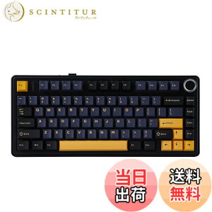 �y���������zEPOMAKER x Aula F75 �Q�[�~���O�L�[�{�[�h �K�X�P�b�g ���J�j�J���L�[�{�[�h 5�w�p�b�h���m�u�t�� 75% ���C�����X �z�b�g�X���b�p�u�� Bluetooth/2.4GHz/USB-C RGB �Z�K�F�؎擾 �F�F�u���b