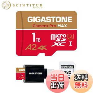 �y���������zGIGASTONE �}�C�N��sd�J�[�hGoldRed GP 1 �F�F1TB Camera Pro MAX 1��+Type C�J�[�h���[�_�[�A�T�C�Y�F1TB Camera Pro MAX 1��+Type C�J�[�h���[�_�[