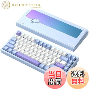 �y���������z�yWOBKEY Rainy 75�L�[�{�[�h�z�J���̂悤�ȑŌ��� ���J�j�J���L�[�{�[�h 3WAY�ڑ� OS�݊��� �z�b�g�X���b�v��VIA�̑Ή� �J�X�^�}�C�Y�� �K�X�P�b�g�f�U�C�� �A���~�j�E���f�ގg�p RG