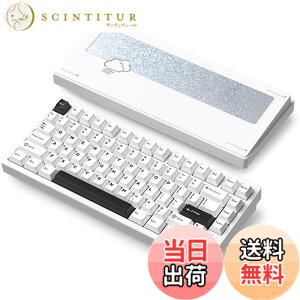 �y���������z�yWOBKEY Rainy 75�L�[�{�[�h�z�J���̂悤�ȑŌ��� ���J�j�J���L�[�{�[�h 3WAY�ڑ� OS�݊��� �z�b�g�X���b�v��VIA�̑Ή� �J�X�^�}�C�Y�� �K�X�P�b�g�f�U�C�� �A���~�j�E���f�ގg�p RG