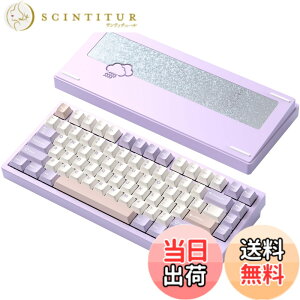 �y���������z�yWOBKEY Rainy 75�L�[�{�[�h�z�J���̂悤�ȑŌ��� ���J�j�J���L�[�{�[�h 3WAY�ڑ� OS�݊��� �z�b�g�X���b�v��VIA�̑Ή� �J�X�^�}�C�Y�� �K�X�P�b�g�f�U�C�� �A���~�j�E���f�ގg�p RG