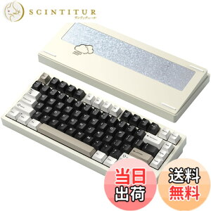�y���������z�yWOBKEY Rainy 75�L�[�{�[�h�z�J���̂悤�ȑŌ��� ���J�j�J���L�[�{�[�h 3WAY�ڑ� OS�݊��� �z�b�g�X���b�v��VIA�̑Ή� �J�X�^�}�C�Y�� �K�X�P�b�g�f�U�C�� �A���~�j�E���f�ގg�p RG