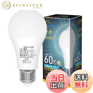 �y���������zORALUCE �l���Z���T�[ LED�d�� 1�� �F�F�����F�A�T�C�Y�F9W
