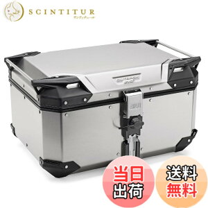 �y���������zGIVI(�W�r) �o�C�N�p ���A�{�b�N�X ���m�L�[ 42L �A���~�� TREKKER OUTBACK EVO�V���[�Y OBKE �F�F�V���o�[�A�T�C�Y�F58���b�g��