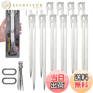 �y���������z�y�O AVOFOREST �e���g�y�O 28cm 6�{/12�{�Z�b�g �X�e�����X�|420 �b���y�O ��̉� �y�� U���^ �����x �L�����v�y�O �J���r�i�t�� �K�тɂ��� �L�����v�݉c�p�� �A�E�g�h�A �o�R �d��