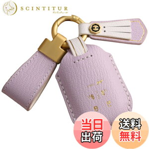 �y���������z[smasol] �t���[�h GT�n NBOX N-BOX �J�X�^�� �V�^ JF5 JF6 �X�e�b�v���S�� �L�[�J�o�[ ZRV ZR-V �{�v HONDA STEP WAGON �X�}�[�g�L�[�P�[�X RP6 RP7 RP8 �L�[�P�[�X �F�F6.�p�[�v�� (���f�B�[�X�{�v)