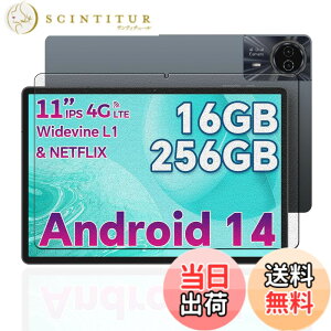 �y���������z�P�[�X �t�B����tmmo �F�F�����ł��A�T�C�Y�FLZ1-B17�y1���zODEA S11