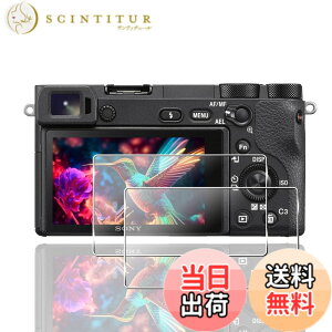 �y���������z�y2���Z�b�g�z �p SONY ��6600 / ��6500 / ��6300 / ��6000 / ��5100 �ی�t�B���� �K���X�t�B���� 2�� SONY ��6600 / ��6500 / ��6300 / ��6000 / ��5100�t�B���� �y ���{���Ɏq�f�� �F�F�N���A 9H�����K���X
