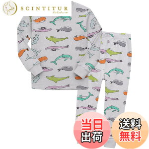 �y���������z[Vaenait Baby] 12����-12�� �q�� �p�W���} �L�b�Y �K�[���Y �{�[�C�Y �p�W���} ���[���E�F�A �q���� ���̎q �㉺�Z�b�g �F�F00-Let's Dolphin�A�T�C�Y�F100