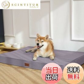 【送料無料】EMME 贅沢な犬 ベッド 防水全週ウレタンペットクッション掃除しやすい ペットソファー ペットベッド 洗える 中綿無し 高反発 高齢犬 子犬 猫 多頭飼い 取り外せるカバー 滑り止め オールシーズン ペット用ベッド小型 色：パープル（長方形）、サイズ：Medium