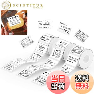 �y���������zNIIMBOT ���x���V�[���y3���[���zB1/B1Pro/B2/B2Pro/B21/B21Pro/B31���x�����[�J�[�Ή� �������M���[���� ���M���x���v�����^�[ ����p�� ���S�� �ϐ� �F�F40*30 �z���C�g�A�T�C�Y�F40x30mm