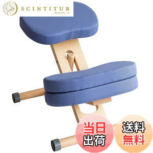 �y���������z�v���|�[�V�����`�F�A �W���͂����܂�֎q �p���T�|�[�g �⏕�N�b�V�����t �F�F���@�C�I���b�g�A�T�C�Y�FCH-N889CK