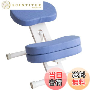 �y���������z�v���|�[�V�����`�F�A �W���͂����܂�֎q �p���T�|�[�g �⏕�N�b�V�����t �F�F���@�C�I���b�g�A�T�C�Y�FCH-N889CK