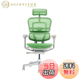 �y���������z�G���S�q���[�}��2(Ergohuman2) �I�t�B�X�`�F�A �F�F�t���[��:GRAY / ���b�V��:GREEN�A�T�C�Y�F�n�C�^�C�v