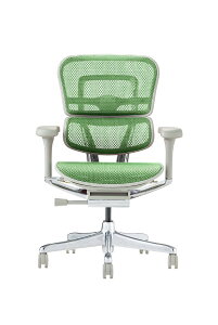 �y���������z�G���S�q���[�}��2(Ergohuman2) �I�t�B�X�`�F�A �F�F�t���[��:GRAY / ���b�V��:GREEN�A�T�C�Y�F���[�^�C�v