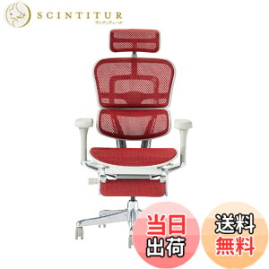 �y���������z�G���S�q���[�}��2(Ergohuman2) �I�t�B�X�`�F�A �F�F�t���[��:GRAY / ���b�V��:RED�A�T�C�Y�F�n�C�^�C�v�E�I�b�g�}������
