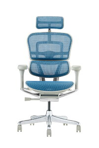 �y���������z�G���S�q���[�}��2(Ergohuman2) �I�t�B�X�`�F�A �F�F�t���[��:GRAY / ���b�V��:BLUE�A�T�C�Y�F�n�C�^�C�v