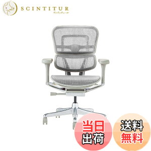�y���������z�G���S�q���[�}��2(Ergohuman2) �I�t�B�X�`�F�A �F�F�t���[��:GRAY / ���b�V��:WHITE�A�T�C�Y�F���[�^�C�v