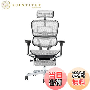 �y���������z�G���S�q���[�}��2(Ergohuman2) �I�t�B�X�`�F�A �F�F�t���[��:BLACK / ���b�V��:WHITE�A�T�C�Y�F�n�C�^�C�v�E�I�b�g�}������