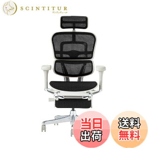 �y���������z�G���S�q���[�}��2(Ergohuman2) �I�t�B�X�`�F�A �F�F�t���[��:GRAY / ���b�V��:BLACK�A�T�C�Y�F�n�C�^�C�v�E�I�b�g�}������