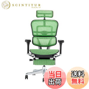 �y���������z�G���S�q���[�}��2(Ergohuman2) �I�t�B�X�`�F�A �F�F�t���[��:BLACK / ���b�V��:GREEN�A�T�C�Y�F�n�C�^�C�v�E�I�b�g�}������