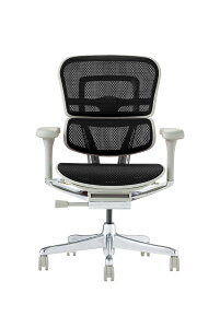 �y���������z�G���S�q���[�}��2(Ergohuman2) �I�t�B�X�`�F�A �F�F�t���[��:GRAY / ���b�V��:BLACK�A�T�C�Y�F���[�^�C�v