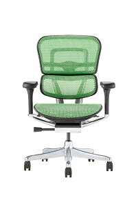 �y���������z�G���S�q���[�}��2(Ergohuman2) �I�t�B�X�`�F�A �F�F�t���[��:BLACK / ���b�V��:GREEN�A�T�C�Y�F���[�^�C�v