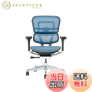�y���������z�G���S�q���[�}��2(Ergohuman2) �I�t�B�X�`�F�A �F�F�t���[��:BLACK / ���b�V��:BLUE�A�T�C�Y�F���[�^�C�v