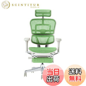 �y���������z�G���S�q���[�}��2(Ergohuman2) �I�t�B�X�`�F�A �F�F�t���[��:GRAY / ���b�V��:GREEN�A�T�C�Y�F�n�C�^�C�v�E�I�b�g�}������