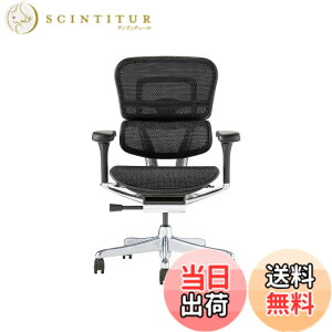 �y���������z�G���S�q���[�}��2(Ergohuman2) �I�t�B�X�`�F�A �F�F�t���[��:BLACK / ���b�V��:BLACK�A�T�C�Y�F���[�^�C�v