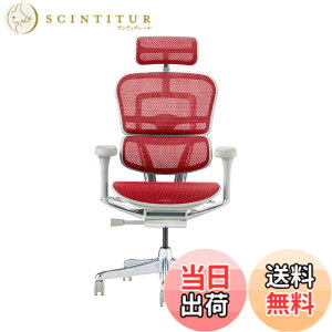 �y���������z�G���S�q���[�}��2(Ergohuman2) �I�t�B�X�`�F�A �F�F�t���[��:GRAY / ���b�V��:RED�A�T�C�Y�F�n�C�^�C�v