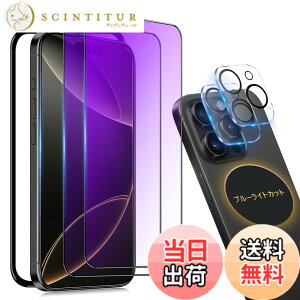 �y���������ziPhone 13pro �K���X�t�B���� �`�����h�~ �F�F�u���[���C�g�i�S�ʕی�j�A�T�C�Y�FiPhone 16Promax--
