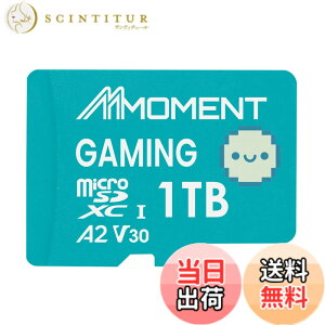 �y���������zMMOMENT A1V30 / A2V30 / Lite/PRO/EXPRESS MicroSDXC�J�[�h �T�C�Y�F1TB