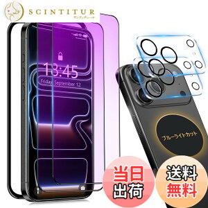 �y���������ziPhone 13pro �K���X�t�B���� �`�����h�~ �F�F�u���[���C�g�i�S�ʕی�j�A�T�C�Y�FiPhone17Pro/�u���[���C�g
