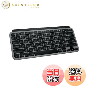 �y���������z���W�N�[�� KX700 ���C�����X�L�[�{�[�h �F�Ffor Mac �X�y�[�X�O���[(US�z��) (2�N)