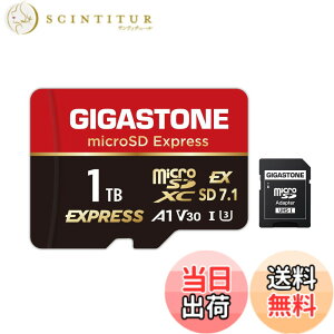 �y���������zGIGASTONE �}�C�N��sd�J�[�h 1TB-14-1 Core Group �T�C�Y�F1TB microSD Express 1���Z�b�g