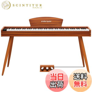 �y���������zKIMFBAY �d�q�s�A�m 88���� �n���}�[�A�N�V�������� �ؐ��X�^�C�� �d�q�s�A�m �t�����X��DREAM���� 3�{�y�_�� MIDI�[�q�Ή� ���S�� �}�X�^�[ ���K�p ���{������� �F�F�E�H�[���i�b